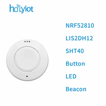 Holyiot nRF52810 Eddystone ibeacon Tag Bluetooth 5.0 Модул с ниска консумация на енергия LIS2DH12 SHT40 Сензор МОЖНО beacon