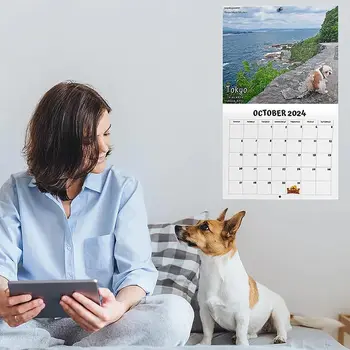 Забавно куче, Какающая Месечно Стенен календар 2024 Нова година Уникален Календар Подарък за приятелите на Семейството, Съседи Декорация на дома