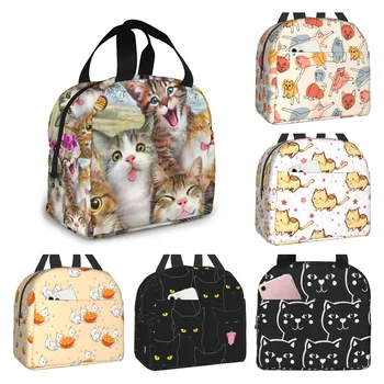Смешни Красиви котки, Изолирано чанта за обяд, преносим термохолодильник, Множество чанта за пикник чанта за bento за жени, деца, работа, училище, пътуване