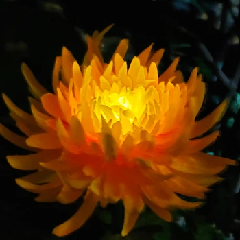 Слънчеви Цветни светлини Хризантеми Имитации на бижута Имитация градина Цветето Тревата Led Градински Пейзаж лампа нощна светлина