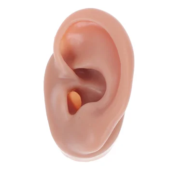 Дисплея на модела на човешкото ухо, Слухов апарат Обеци за пиърсинг Обучение Имитация Силикагел Фалшив Медицински Силикон