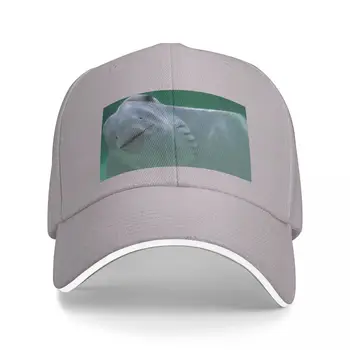 Бейзболна шапка Stingray Cap new in the hat мъжка шапка дамски